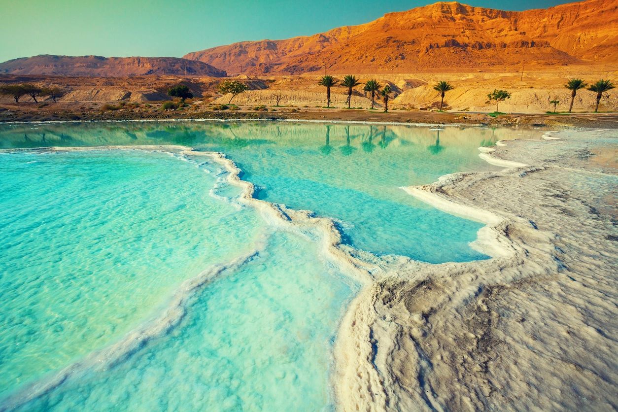 the dead sea